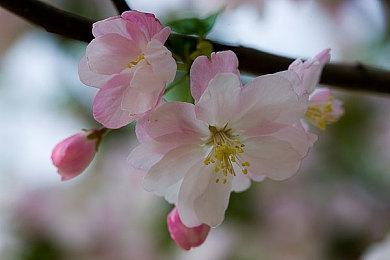 《英雄传说轨迹》系列销量破750万 新作年内推出